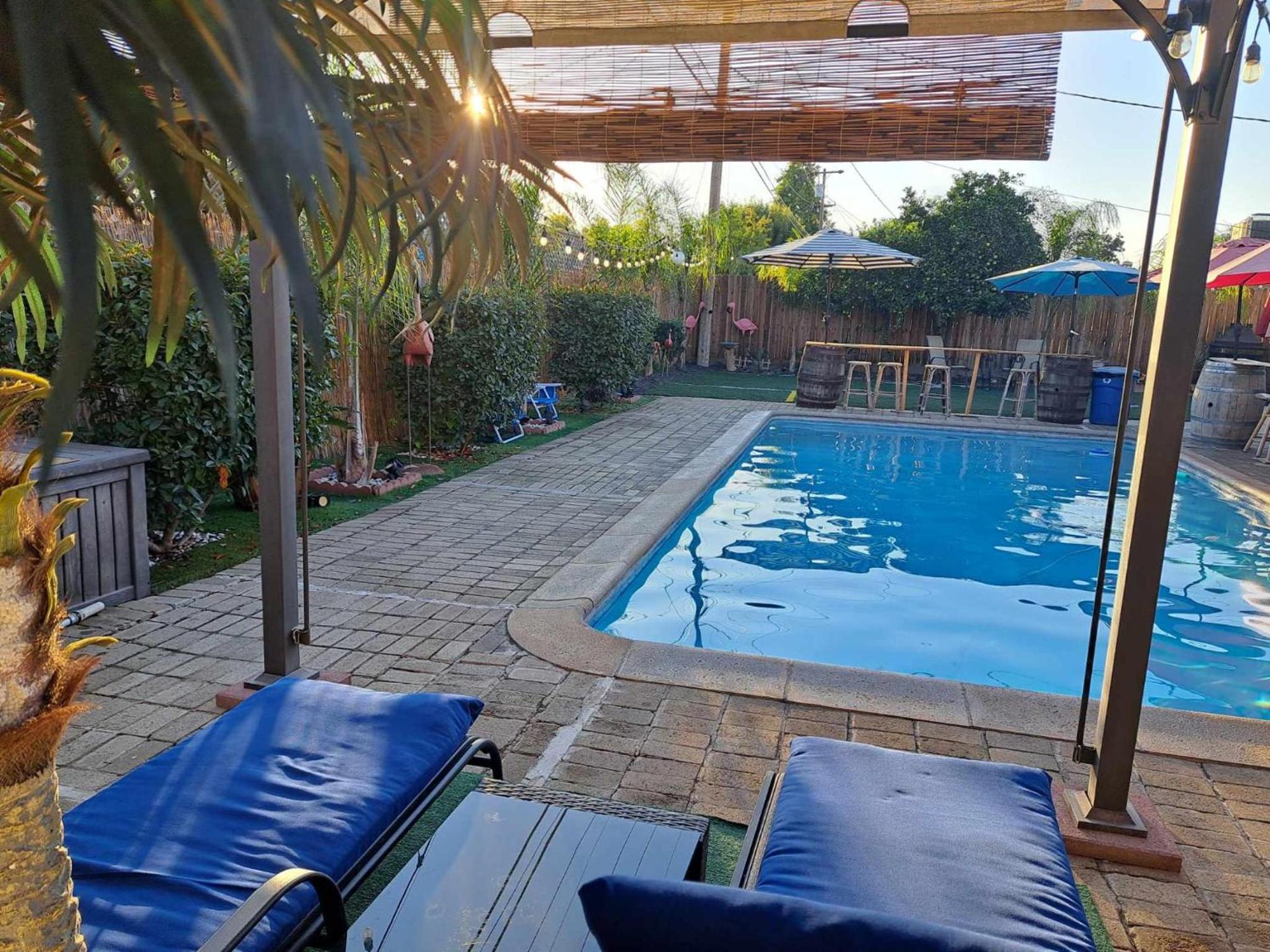 Tropical Paradise photo 5