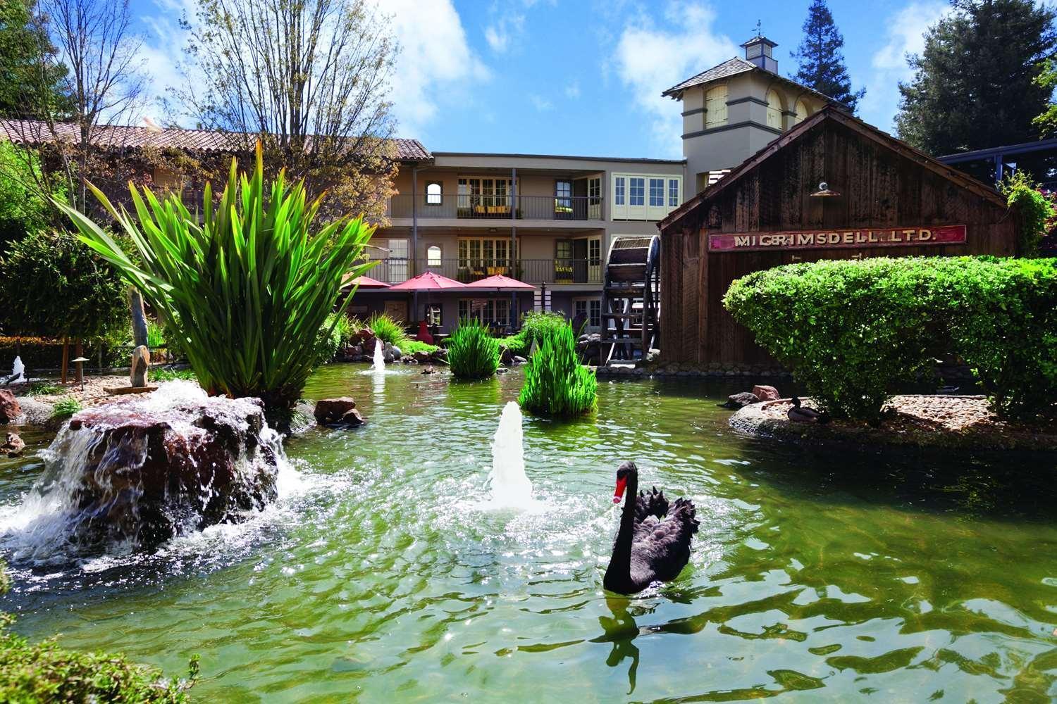 Casa Mani Resort Napa Valley, Curio Collection By Hilton photo 59