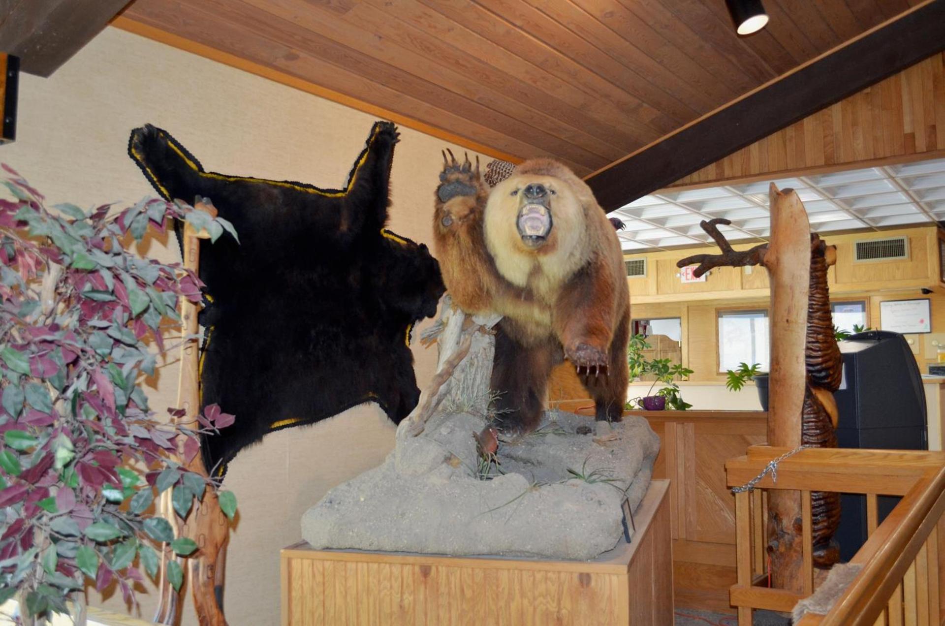 Hot Springs Hotel & Spa photo 9