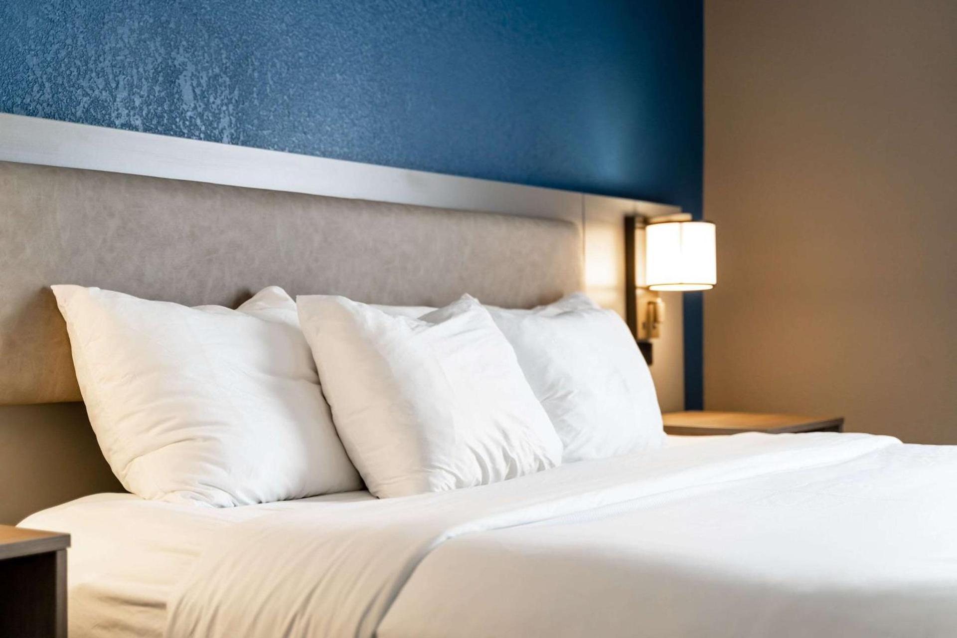 Comfort Suites Columbia Northeast - Fort Jackson photo 20