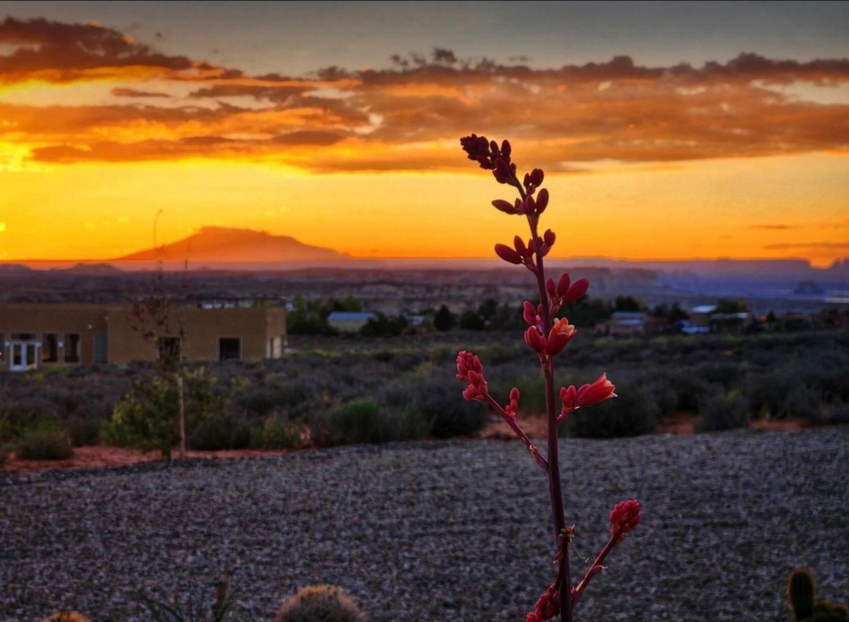 Canyon Oasis suite with Grand Mesa view photo 18