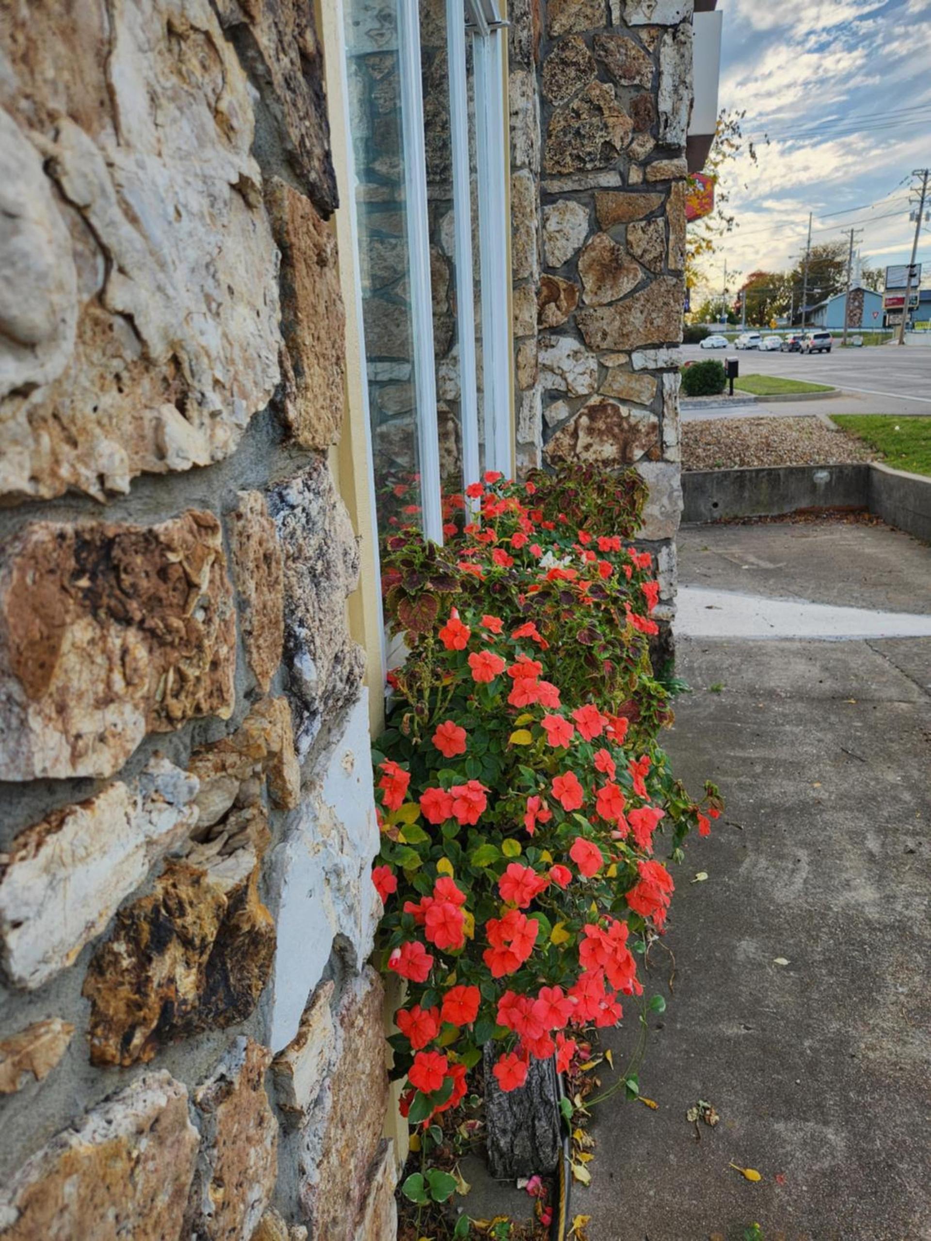 Homestead Motel photo 48