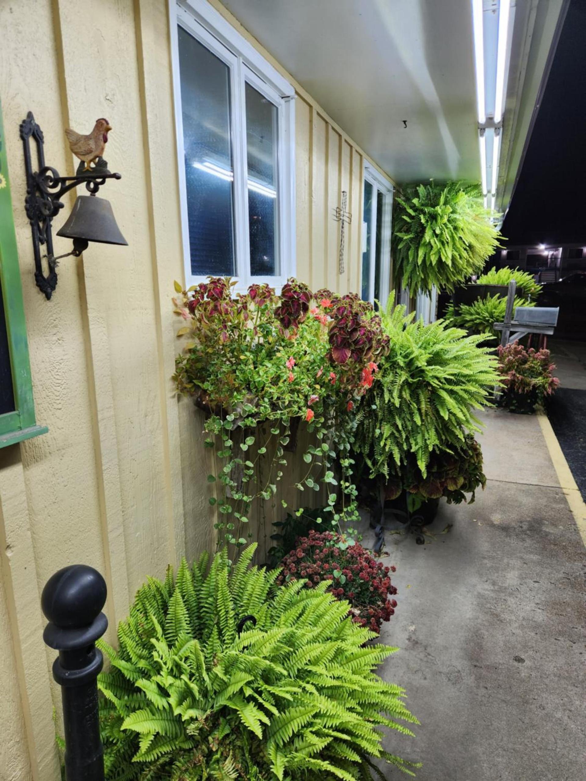 Homestead Motel photo 51