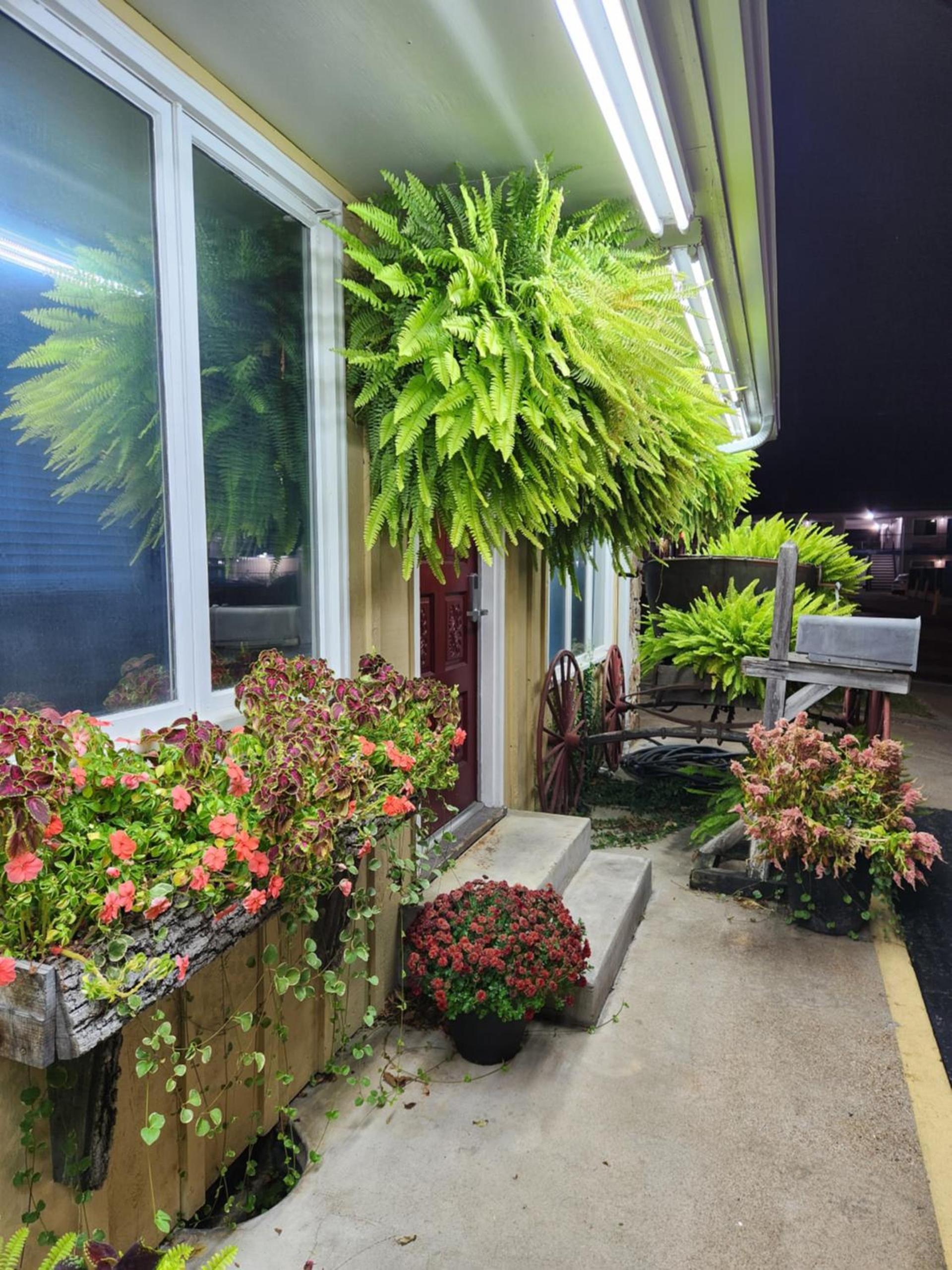 Homestead Motel photo 55