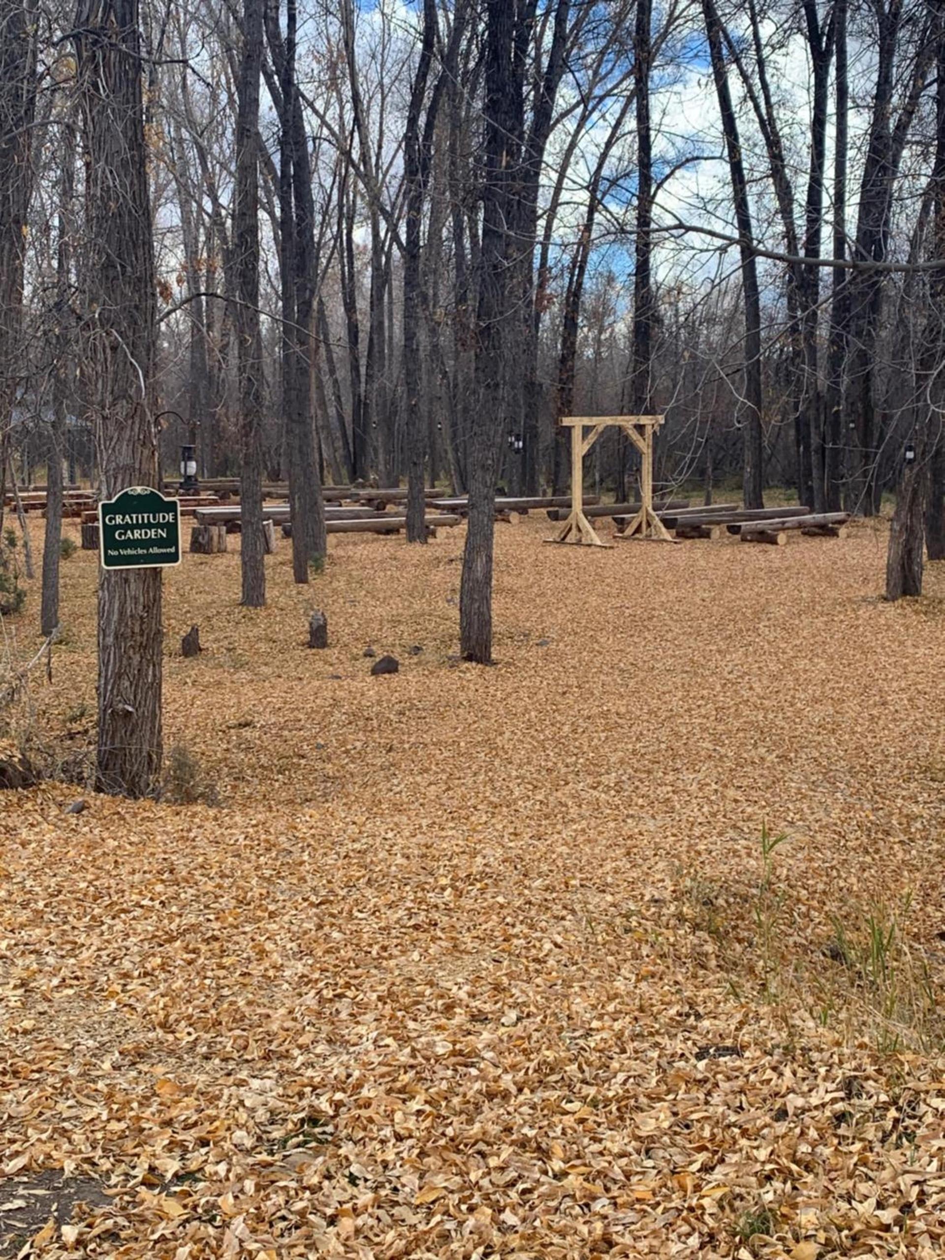 Down Home Lodge & Family RV Resort photo 10