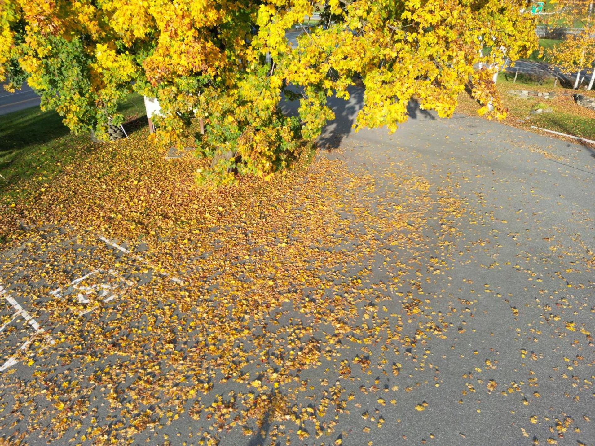 The Putney Inn photo 36