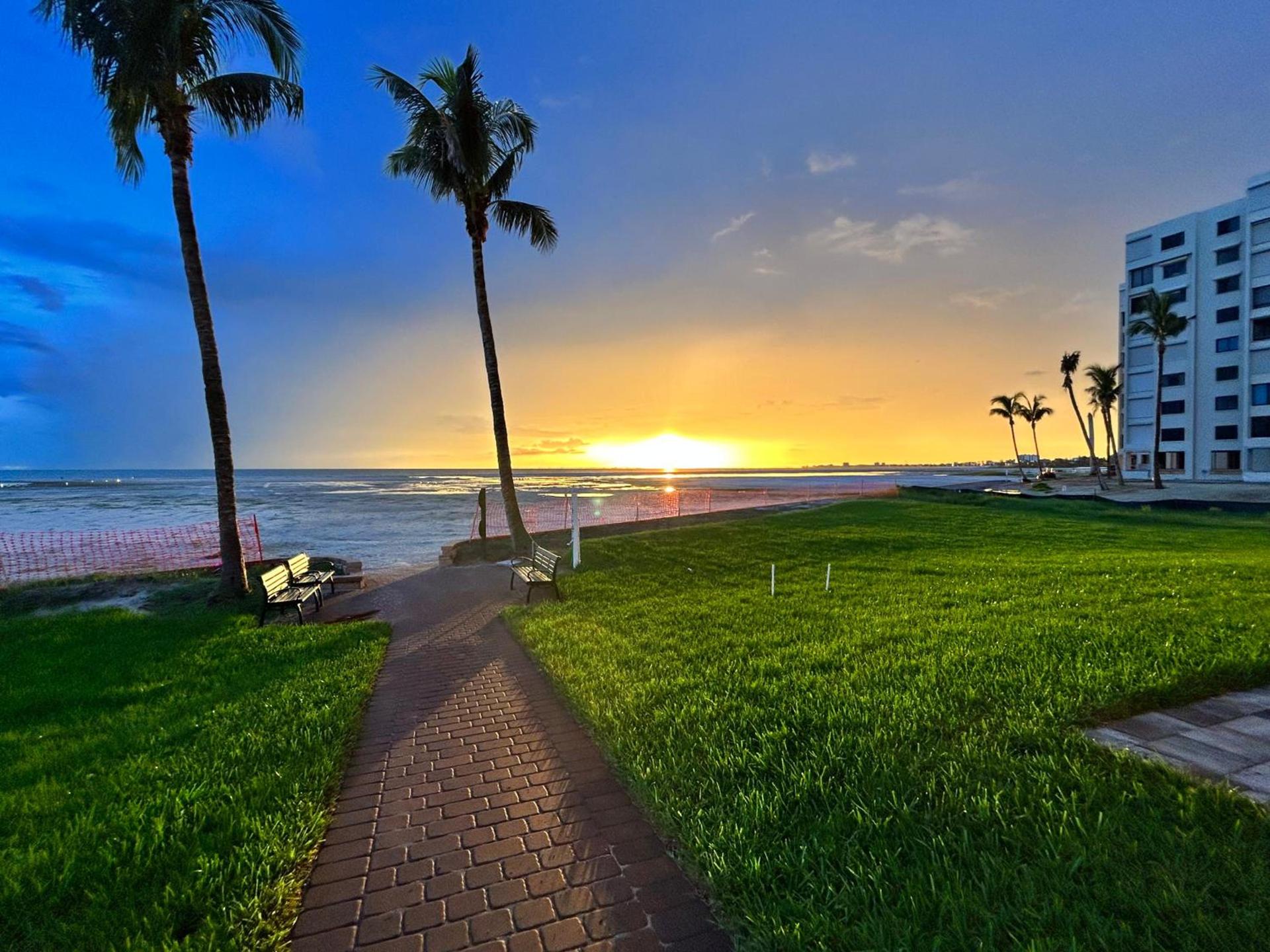 Always Summer On a White Sandy Beach photo 8