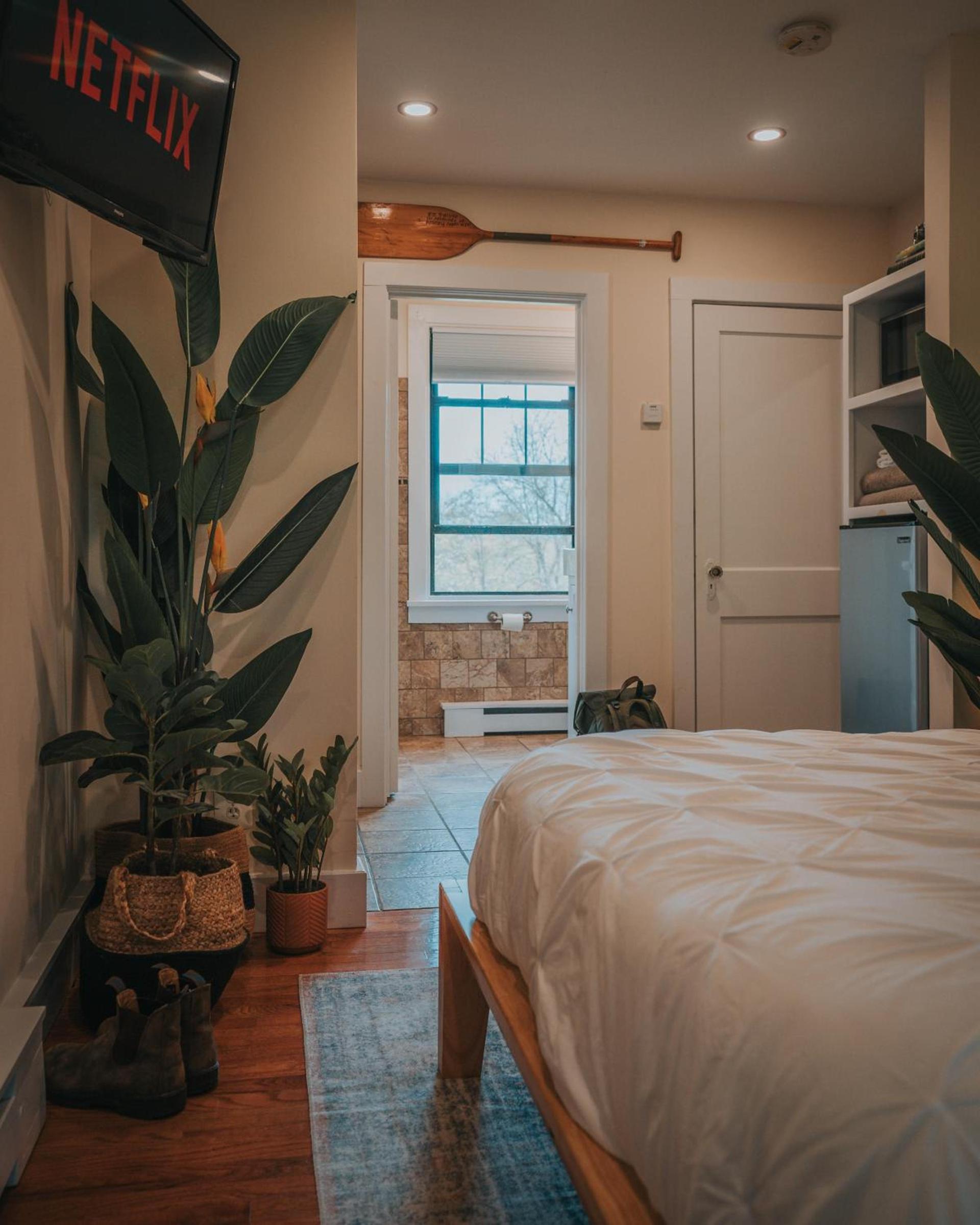The Willow, Catskill photo 39