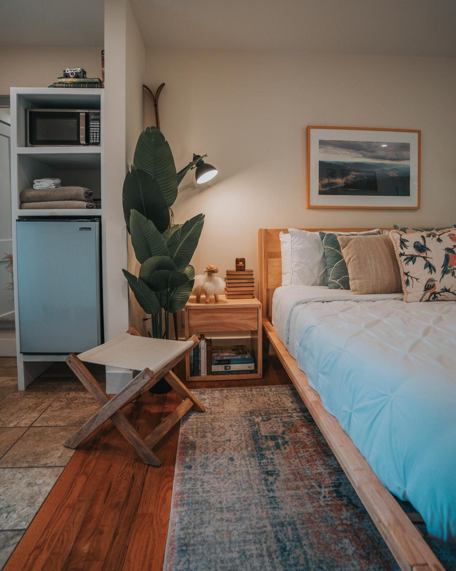 The Willow, Catskill photo 42