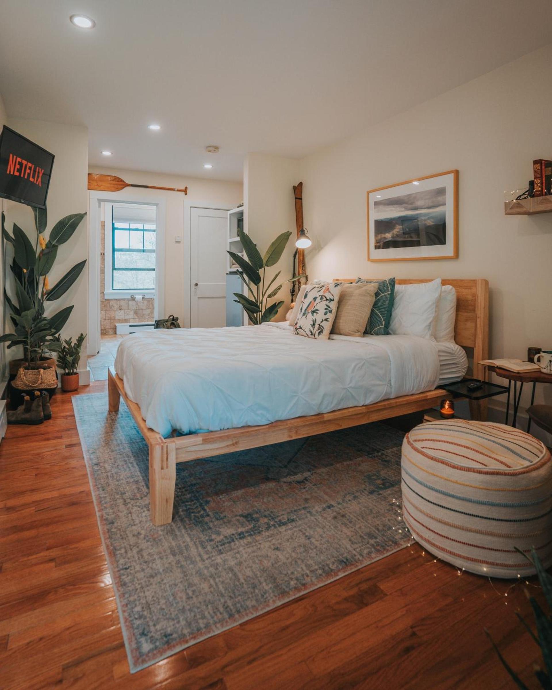 The Willow, Catskill photo 93