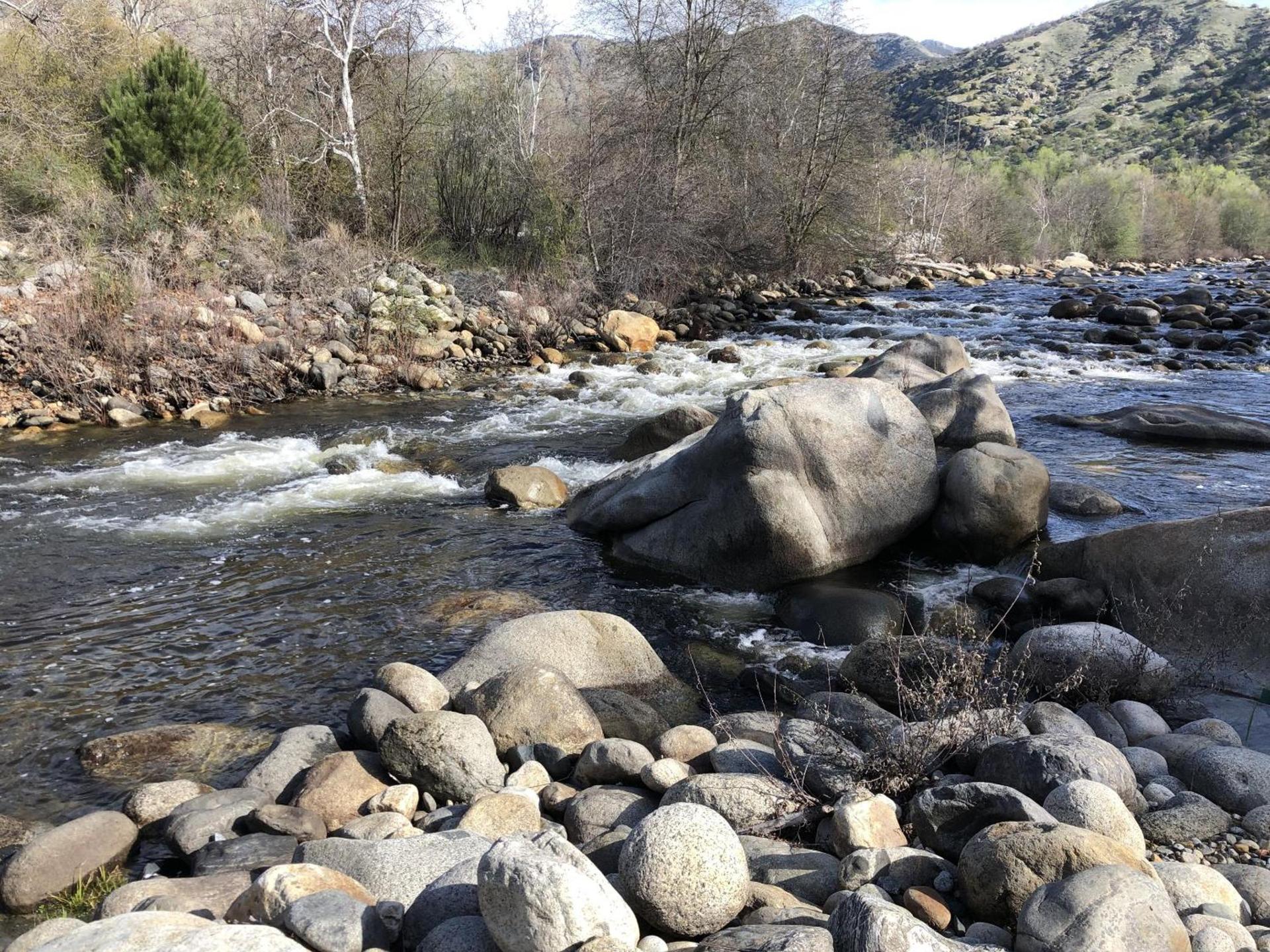 Sequoia Village photo 28