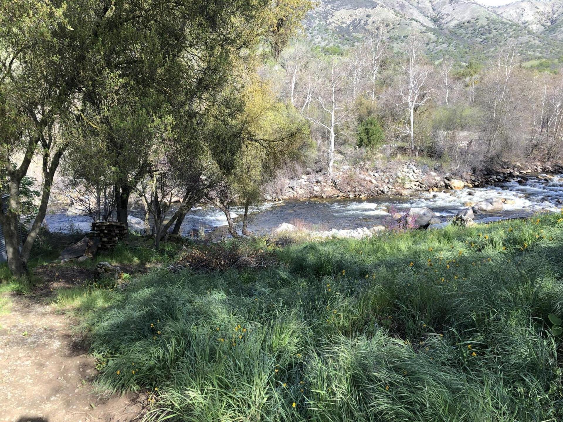 Sequoia Village photo 29
