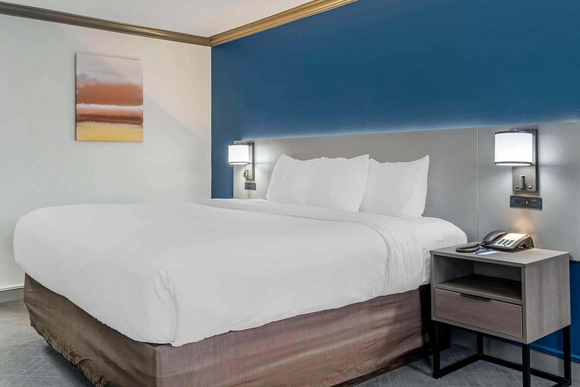 Comfort Inn Plainwell photo 11