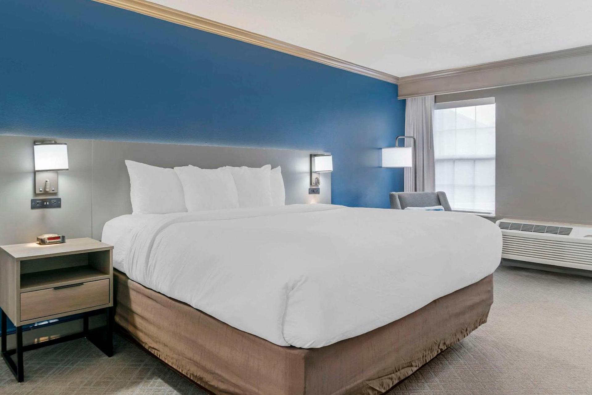Comfort Inn Plainwell photo 12