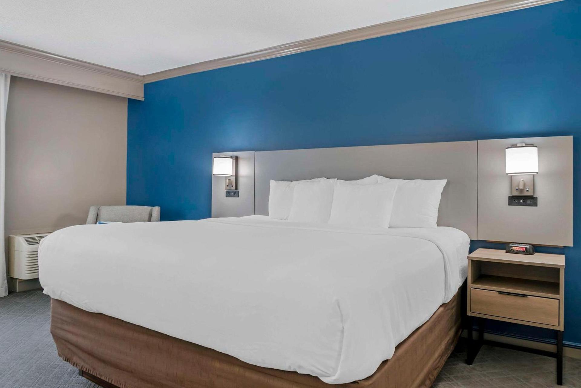 Comfort Inn Plainwell photo 17