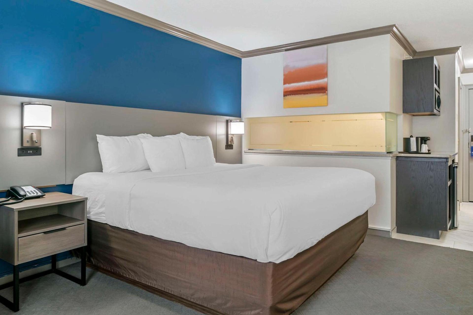 Comfort Inn Plainwell photo 18