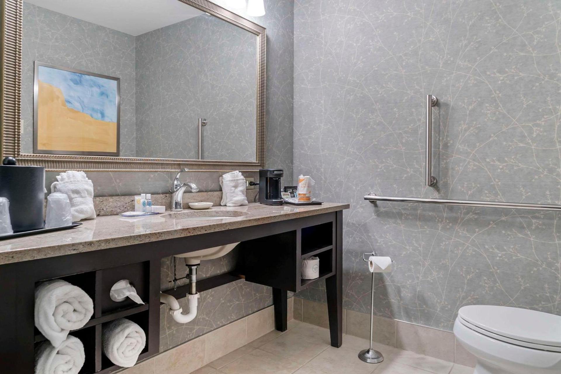 Comfort Inn Plainwell photo 21