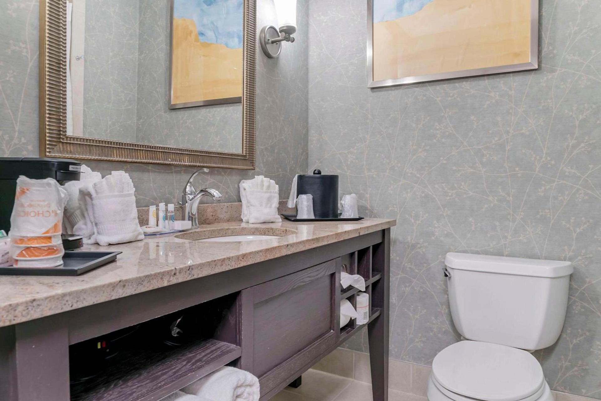 Comfort Inn Plainwell photo 20