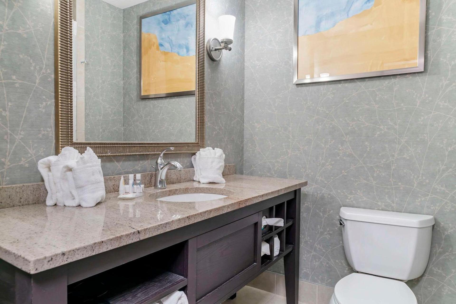 Comfort Inn Plainwell photo 23