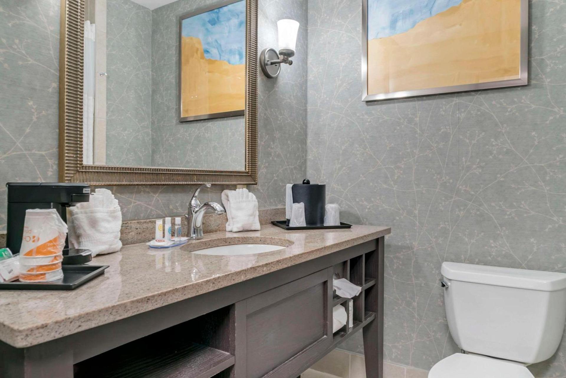 Comfort Inn Plainwell photo 24