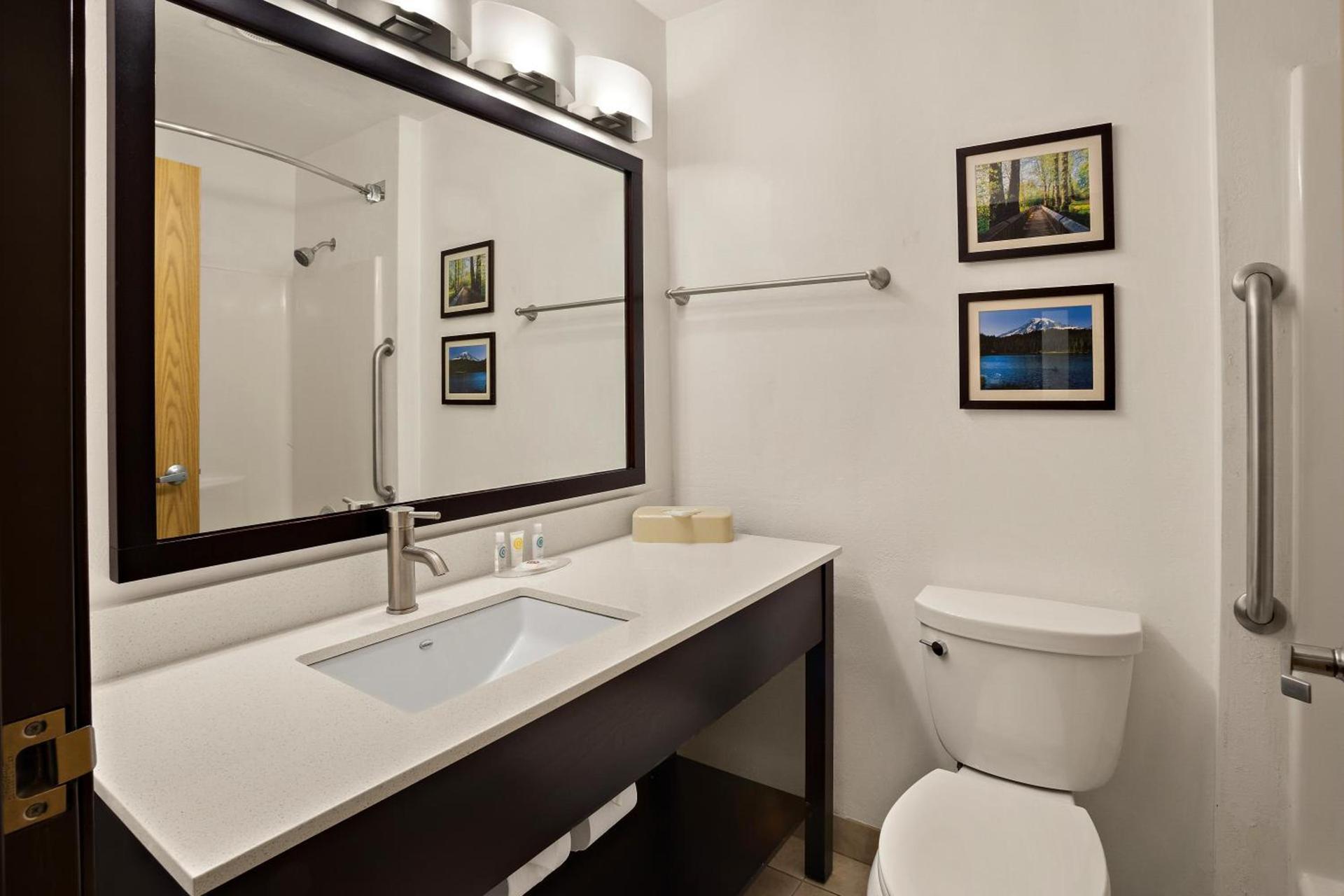 Comfort Inn Lacey - Olympia photo 48