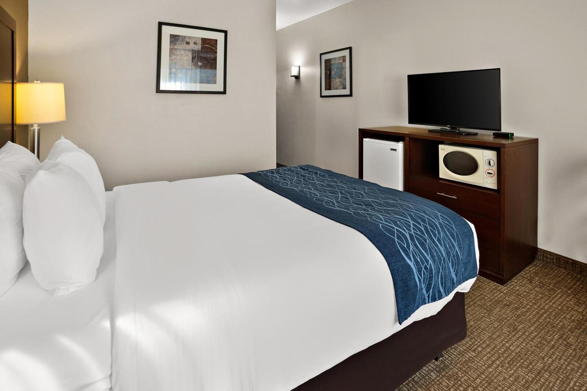 Comfort Inn Lacey - Olympia photo 55