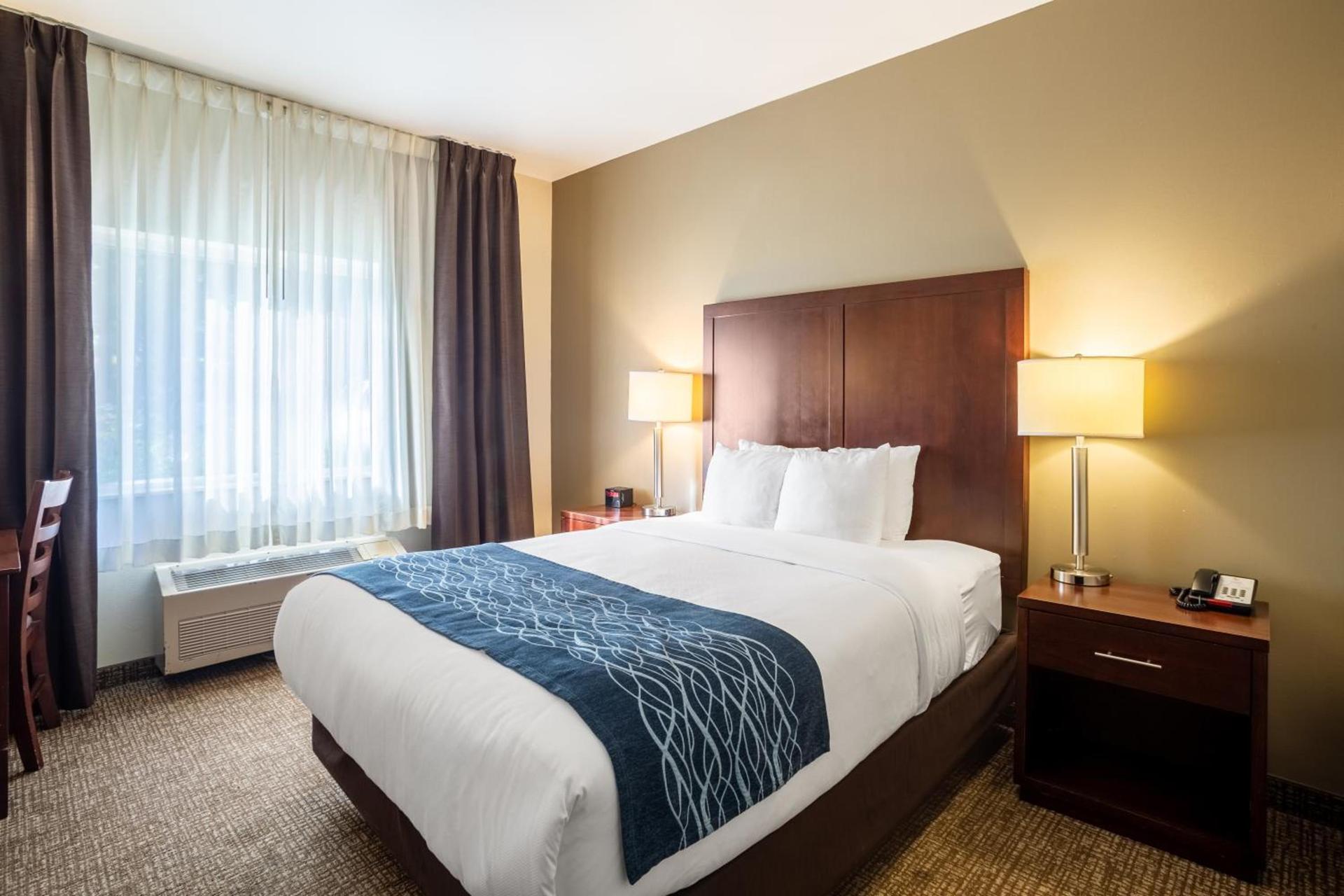 Comfort Inn Lacey - Olympia photo 56