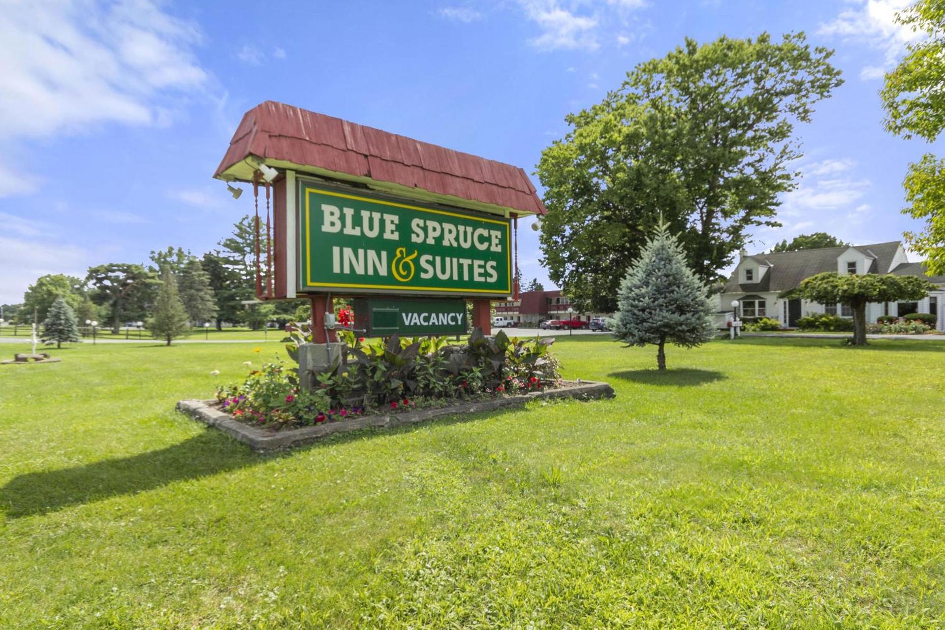 Blue Spruce Inn & Suites photo 21