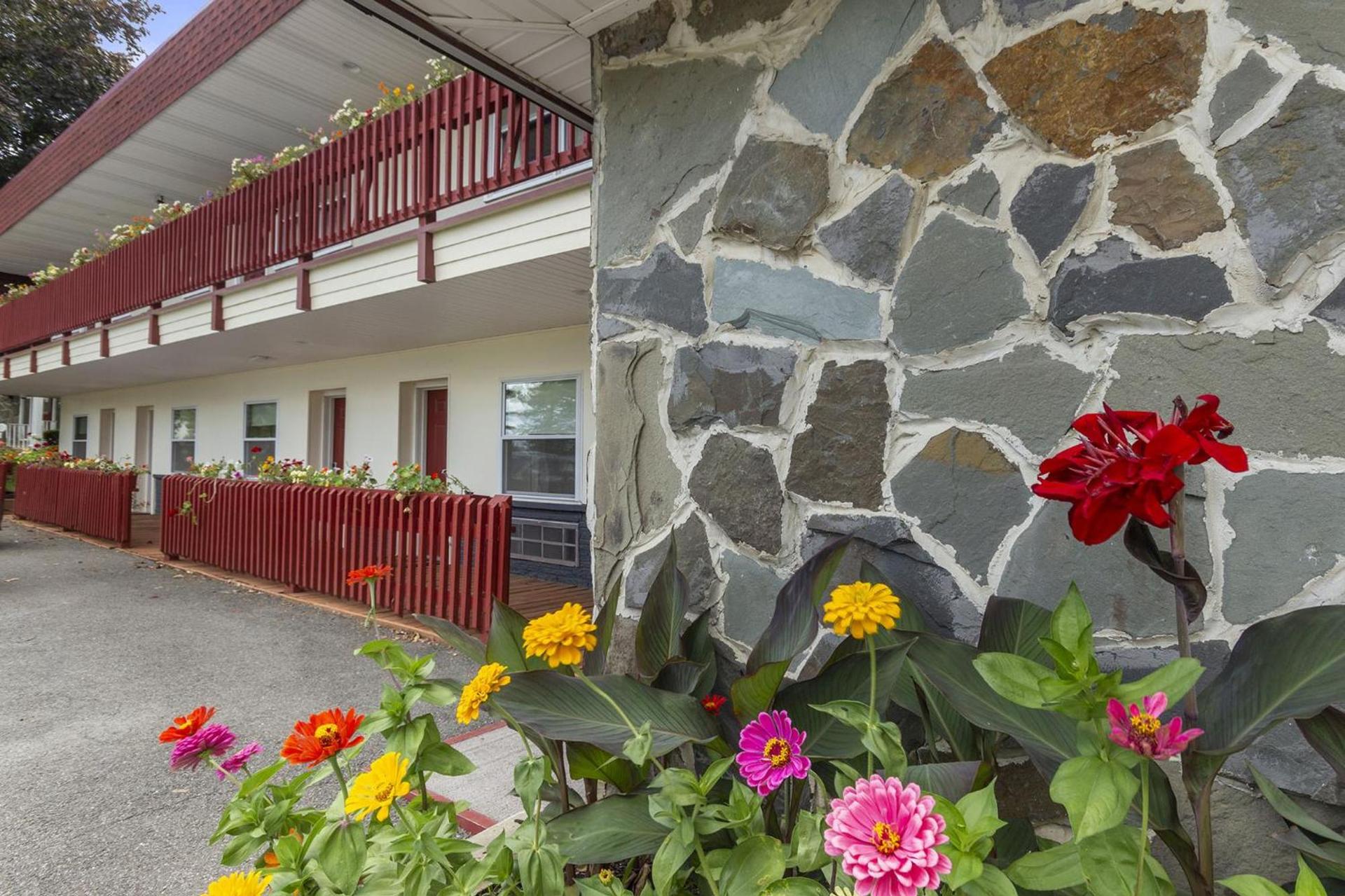 Blue Spruce Inn & Suites photo 29