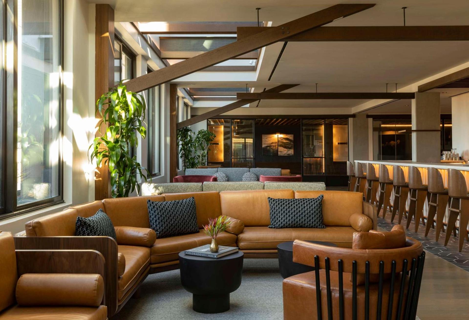 Thompson Denver, by Hyatt photo 7