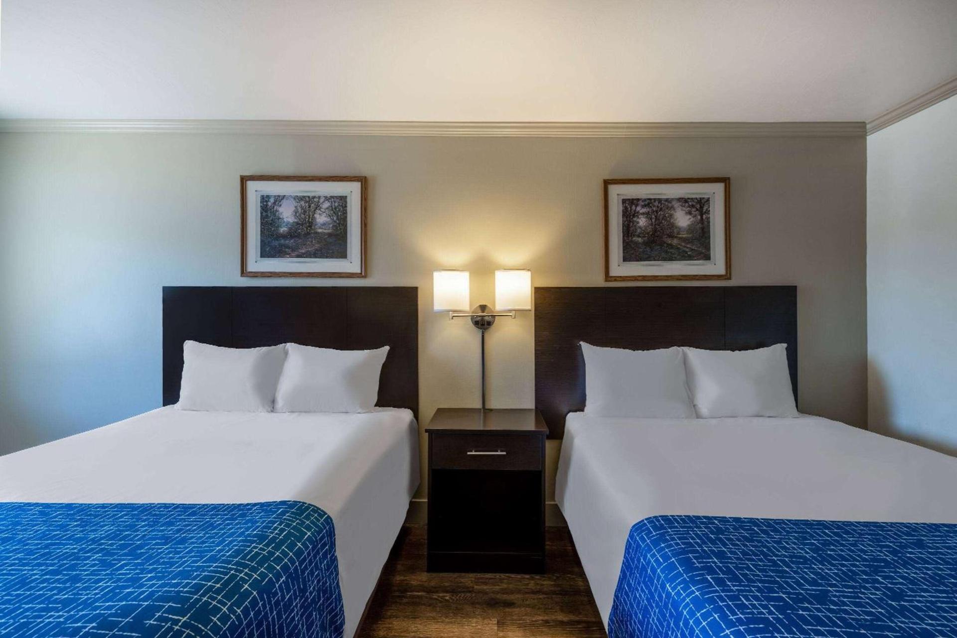 Travelodge by Wyndham Livingston photo 15