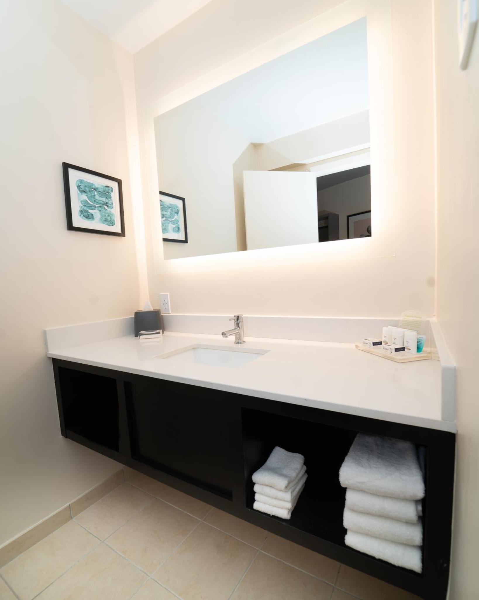 Holiday Inn New Orleans West Bank Tower by IHG photo 3