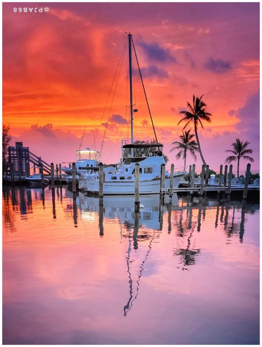 Banana Bay Resort & Marina photo 62