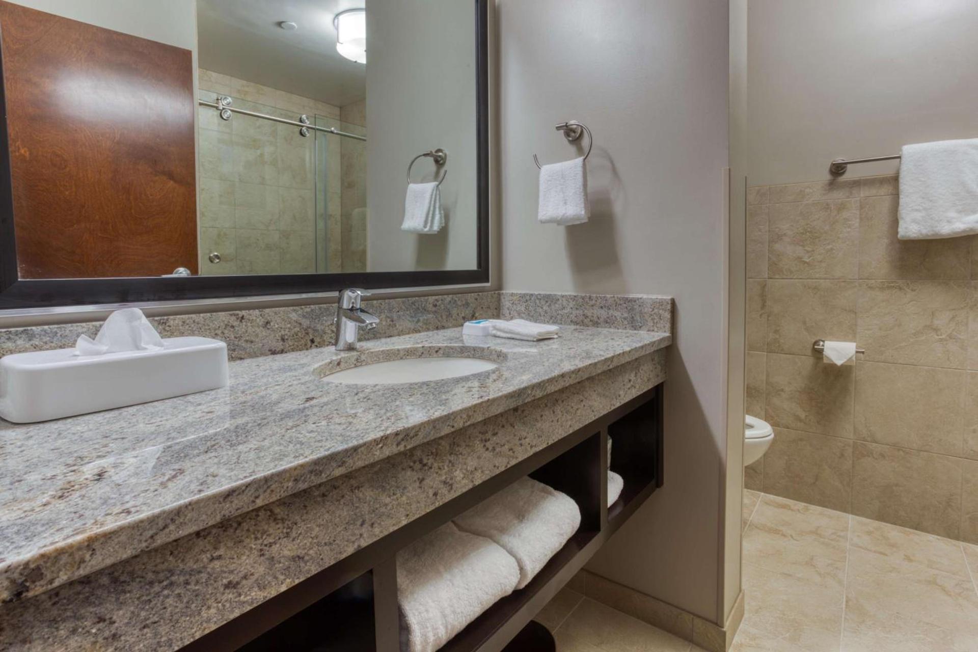 Drury Inn & Suites Huntsville Space & Rocket Center photo 15