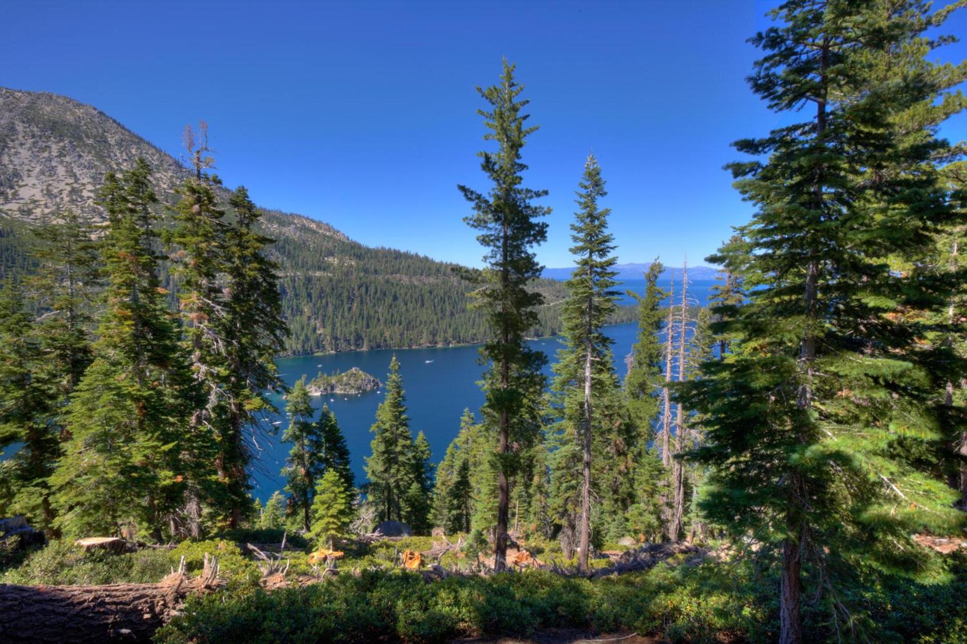 Legacy Vacation Resorts - Reno photo 8