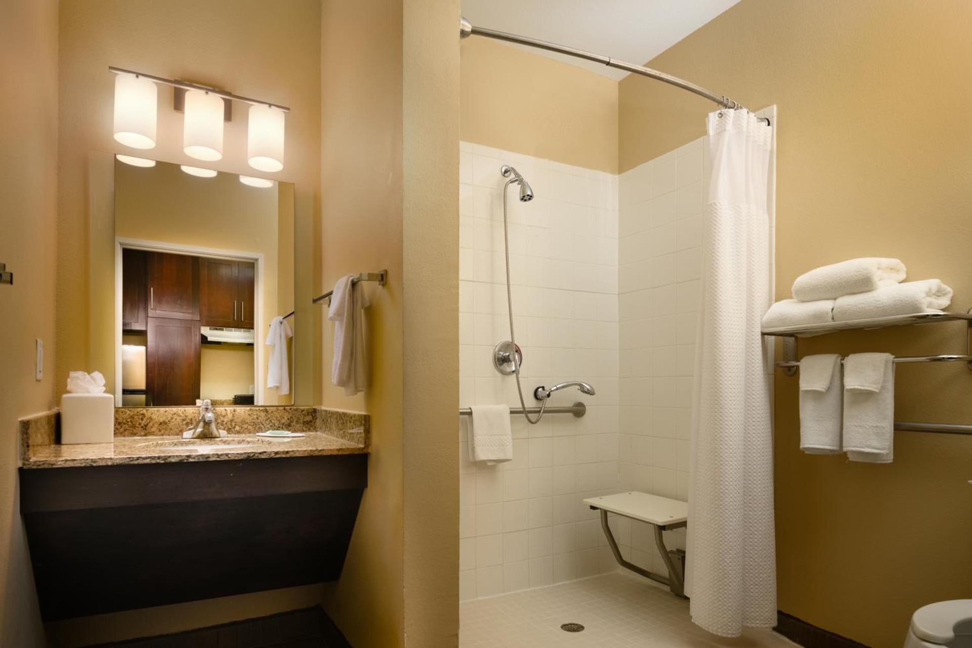 TownePlace Suites by Marriott Houston Galleria Area photo 15