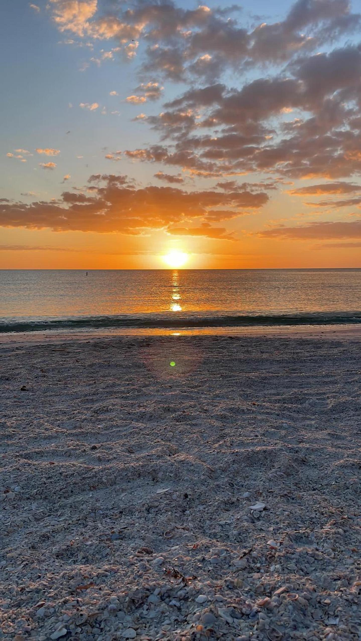 Blue Waters Treasure Island photo 83