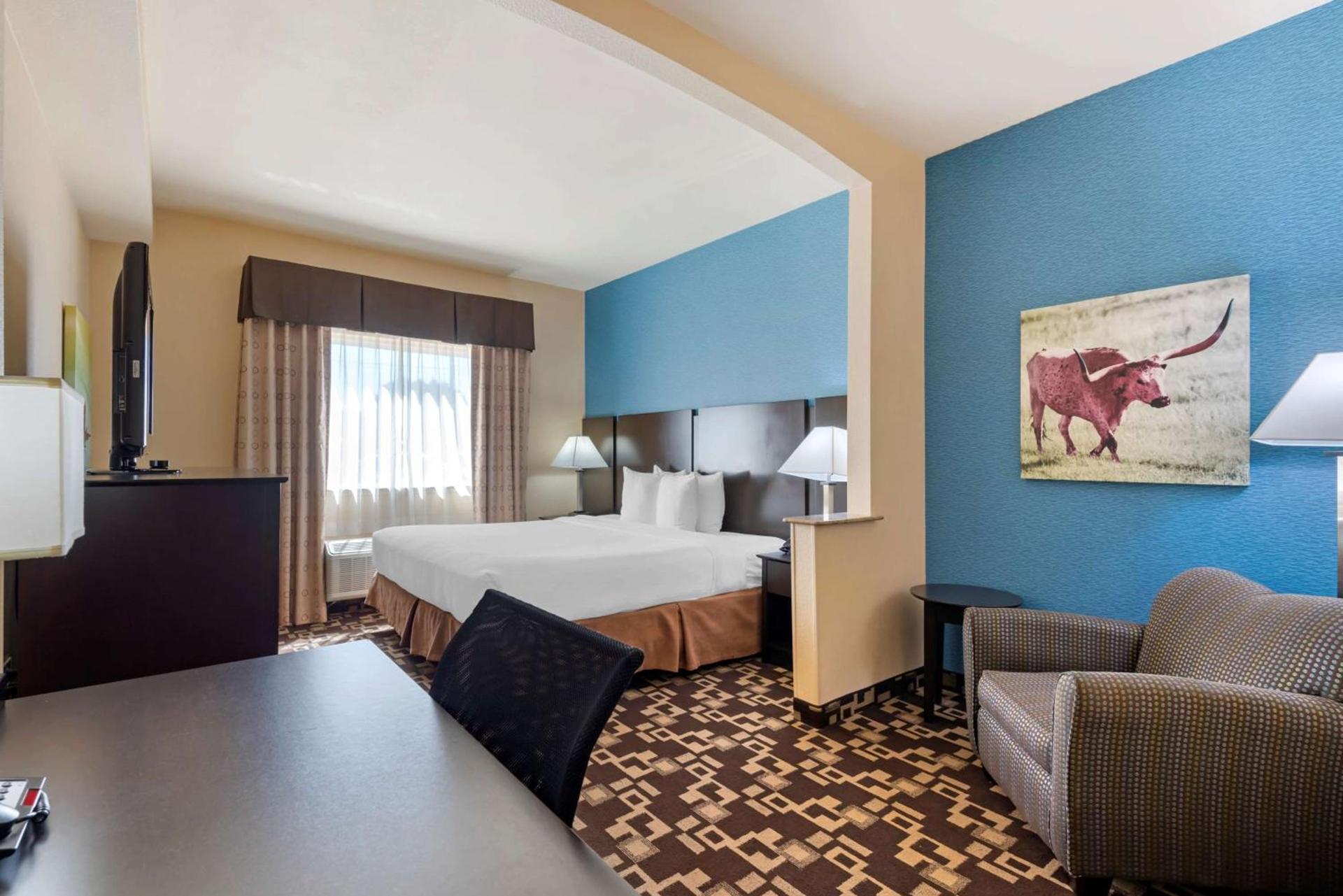 Best Western Plus Arlington North Hotel & Suites photo 19
