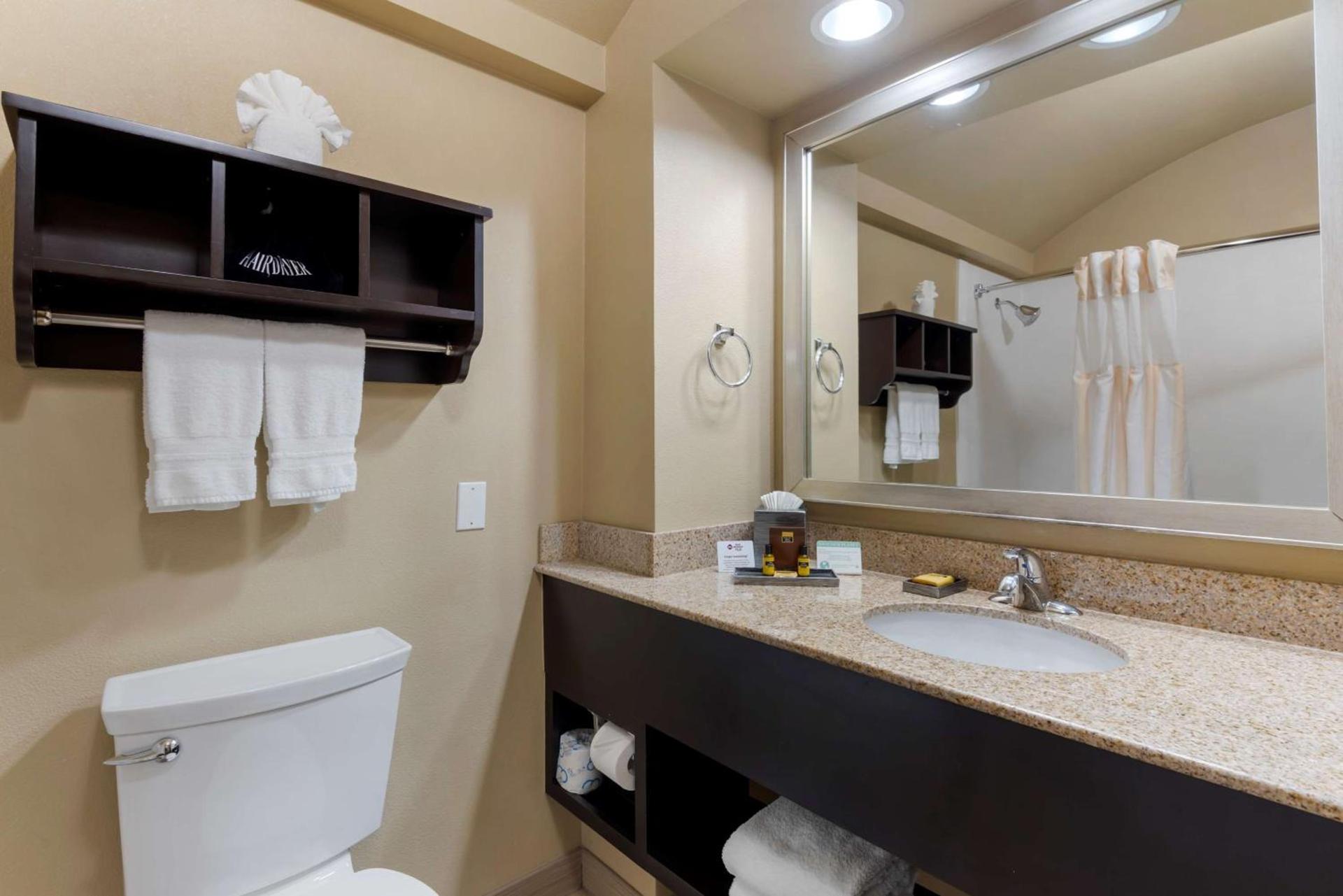 Best Western Plus Arlington North Hotel & Suites photo 14