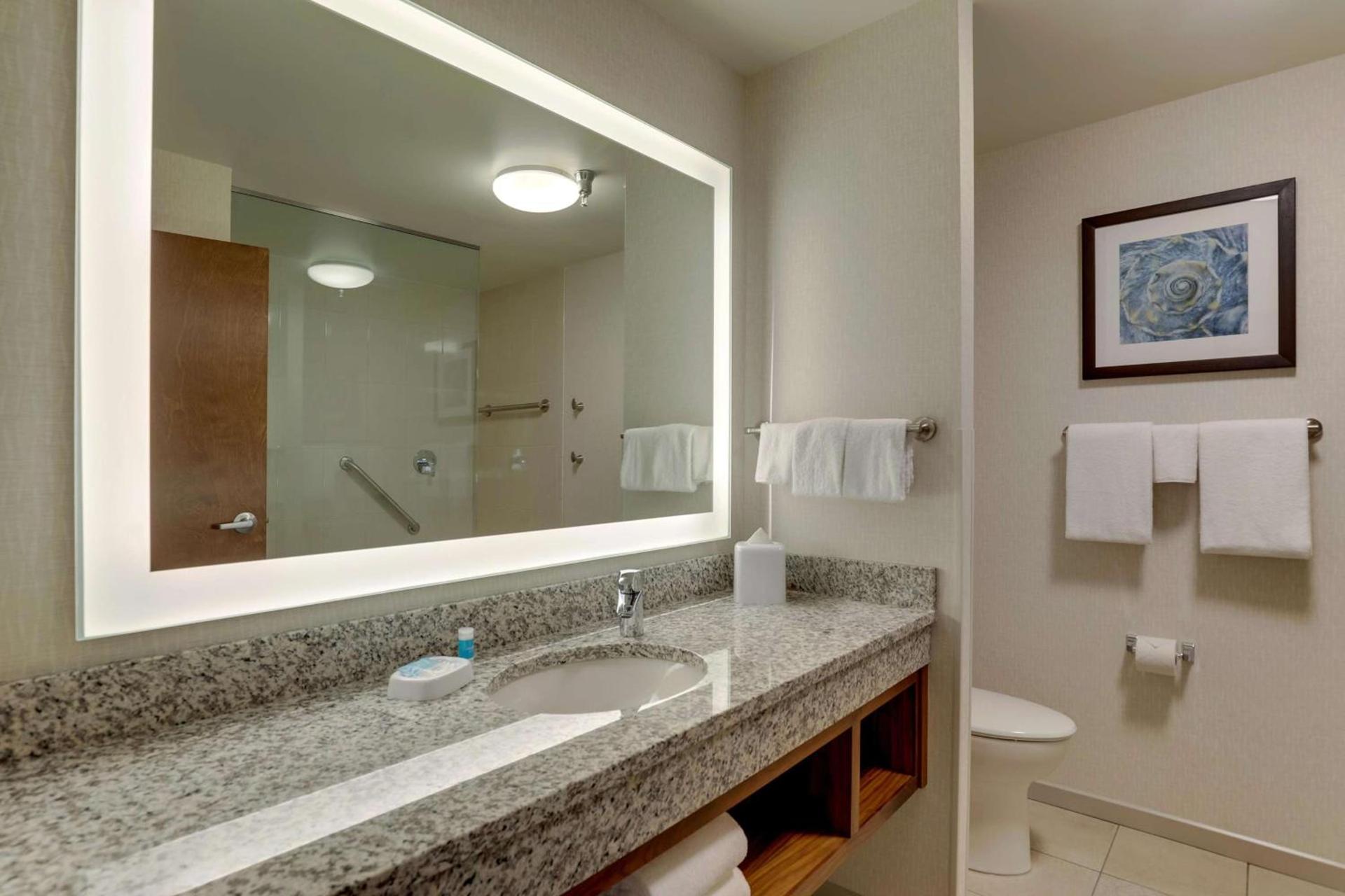 Drury Plaza Hotel Orlando - Disney Springs Area photo 57