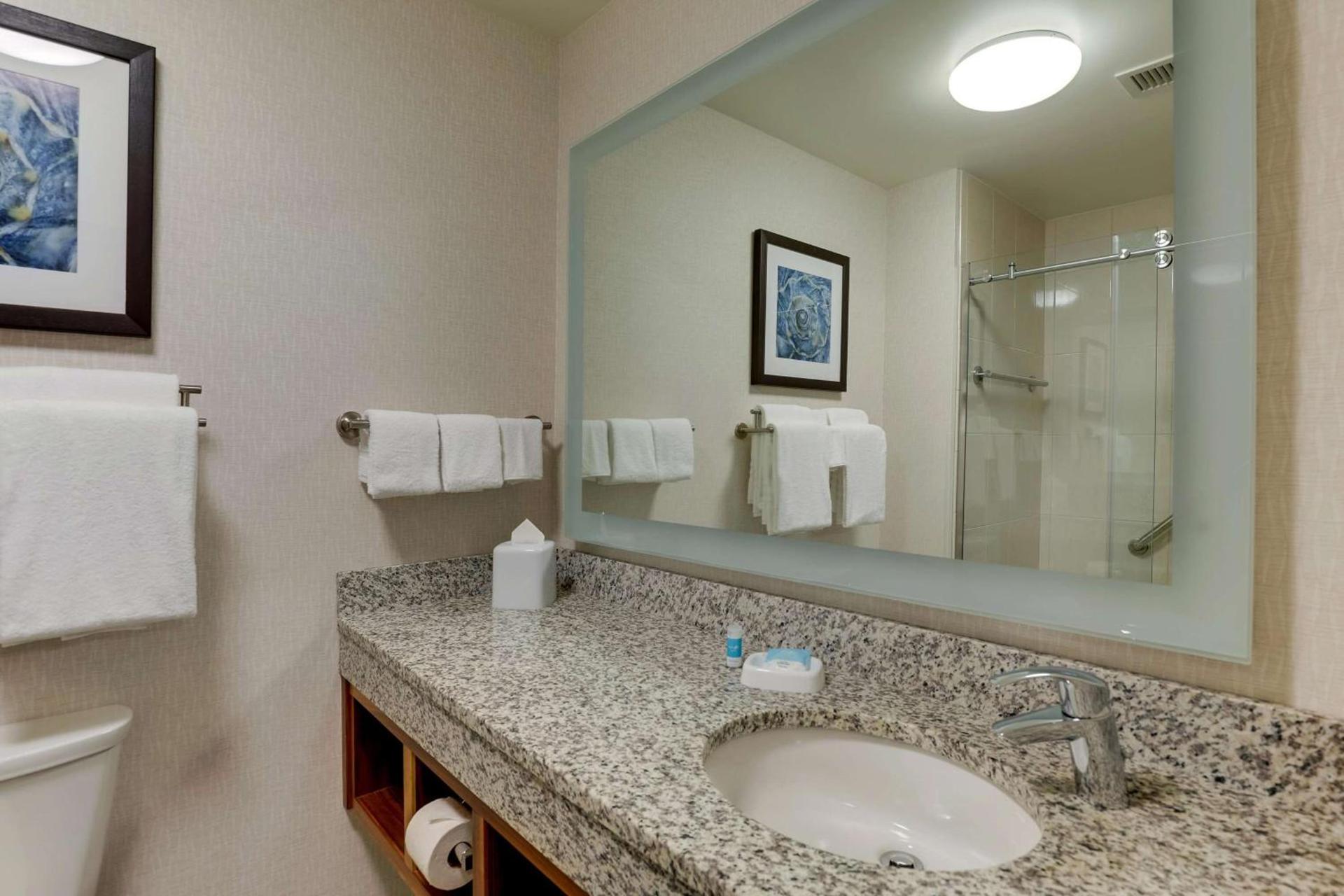 Drury Plaza Hotel Orlando - Disney Springs Area photo 58