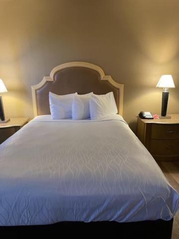 Sutter Inn photo 58