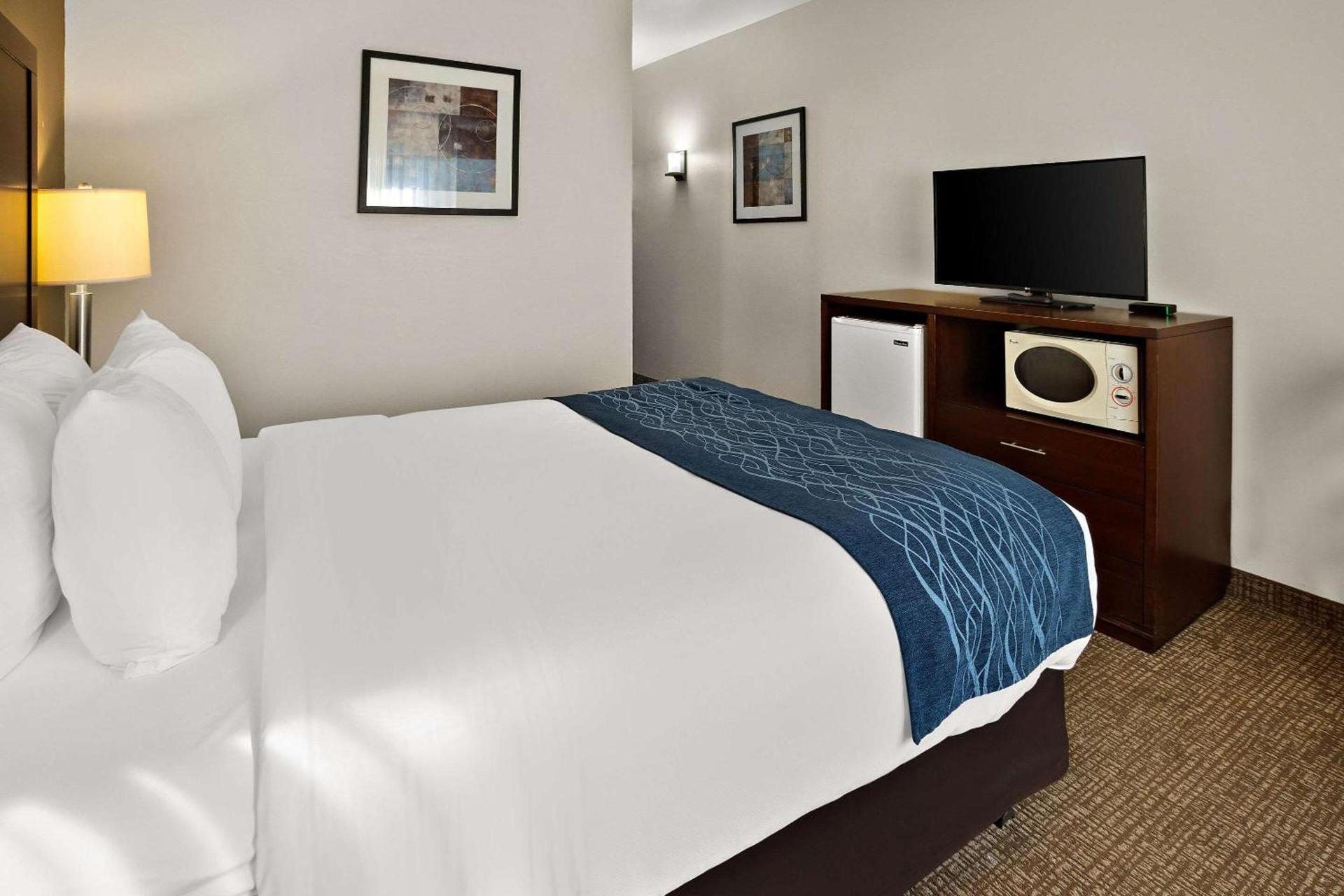 Comfort Inn Lacey - Olympia photo 13