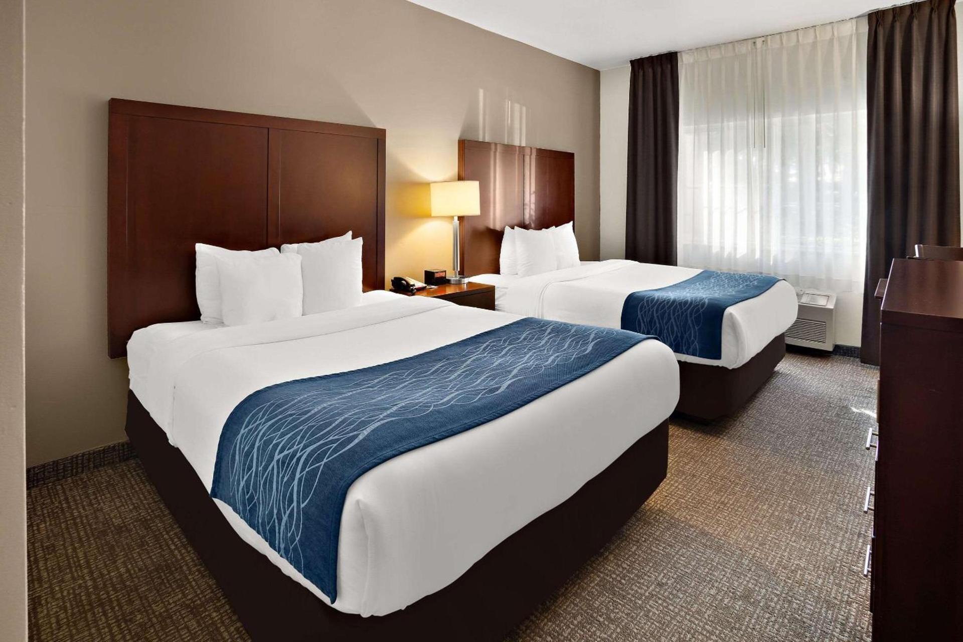 Comfort Inn Lacey - Olympia photo 15