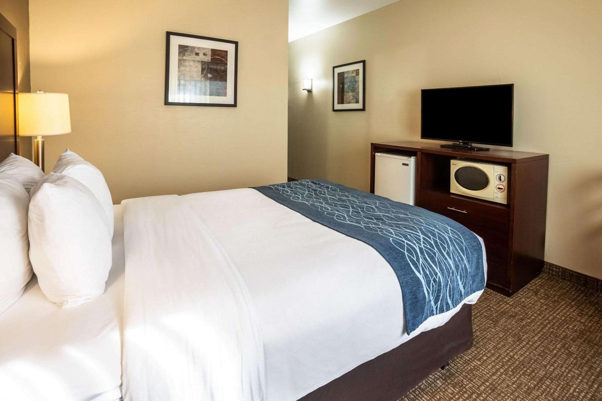 Comfort Inn Lacey - Olympia photo 19