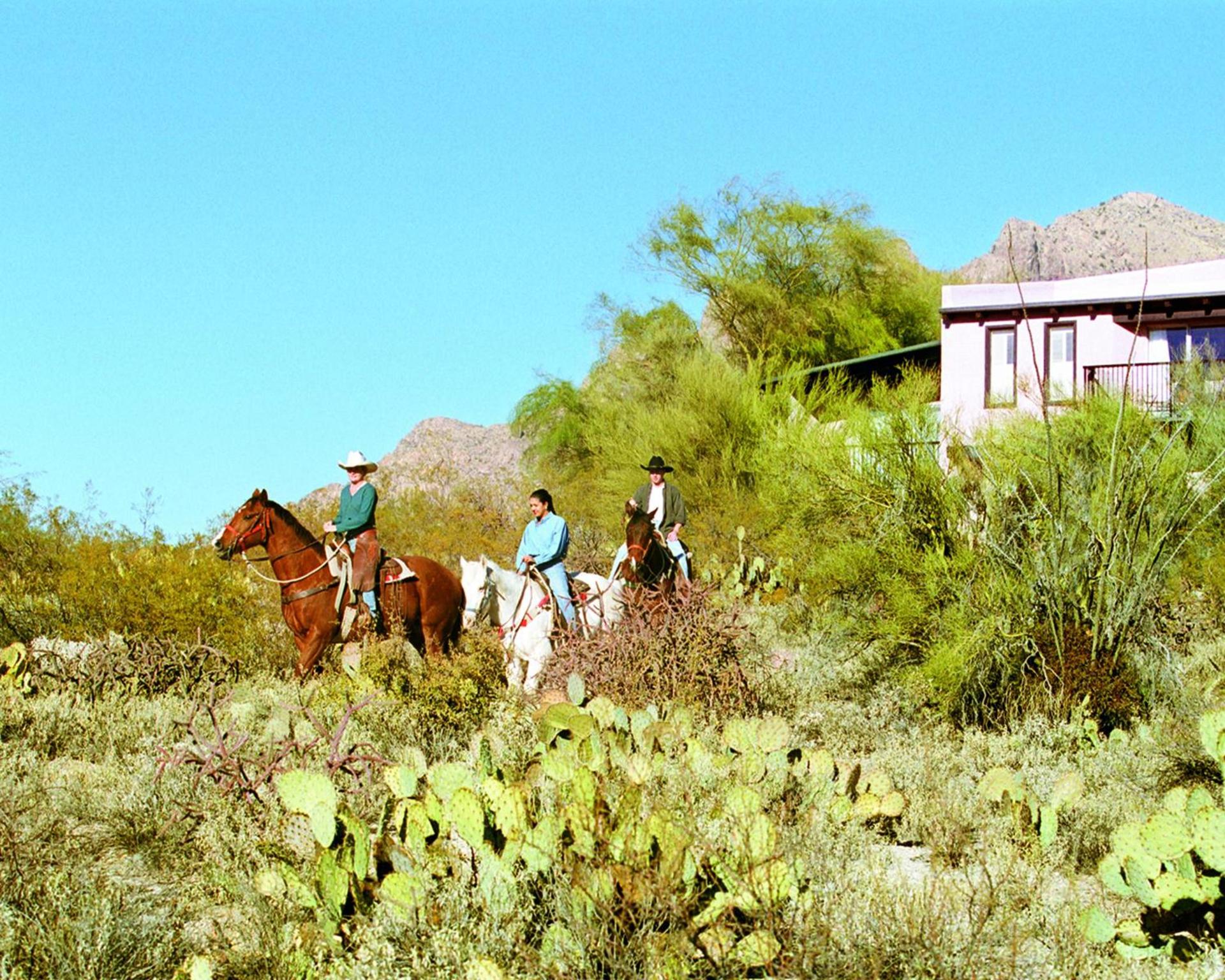 Westward Look Wyndham Grand Resort & Spa photo 84