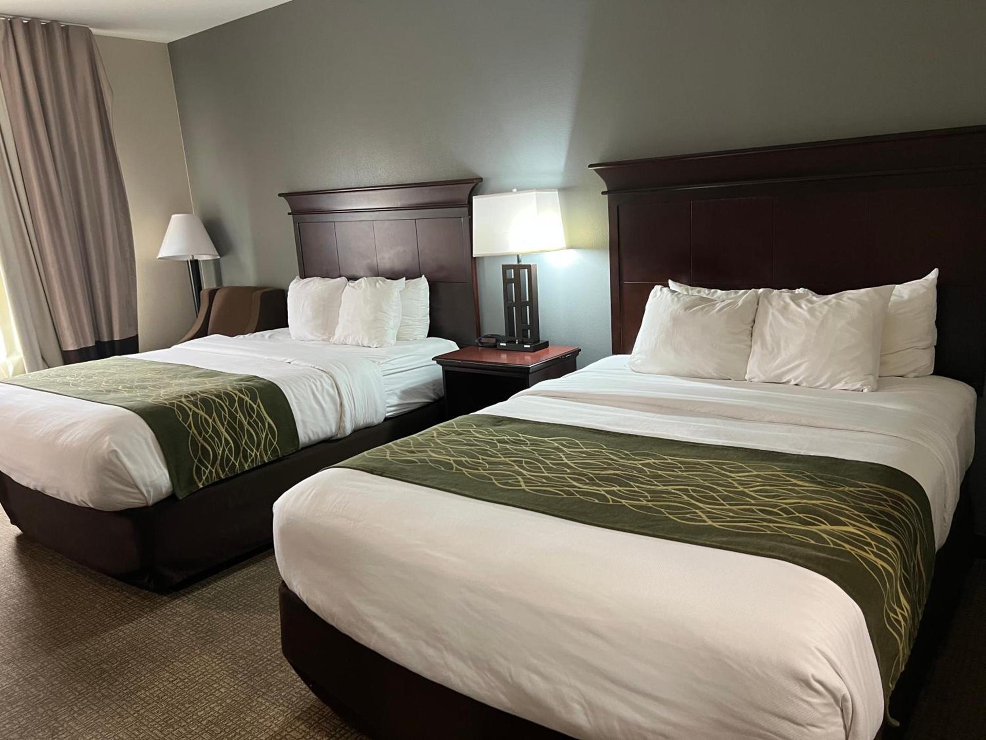 Comfort Inn I-49 South photo 2