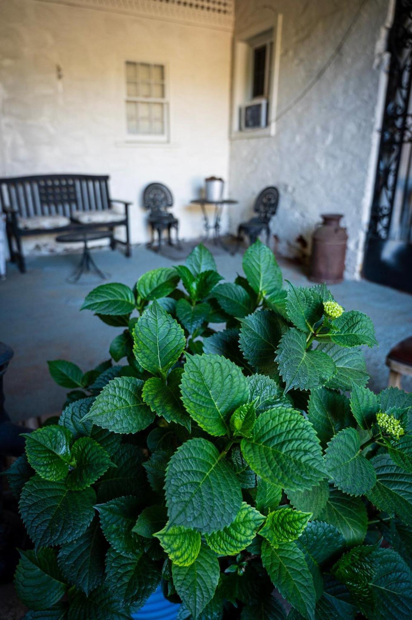 Gunn House Hotel photo 52