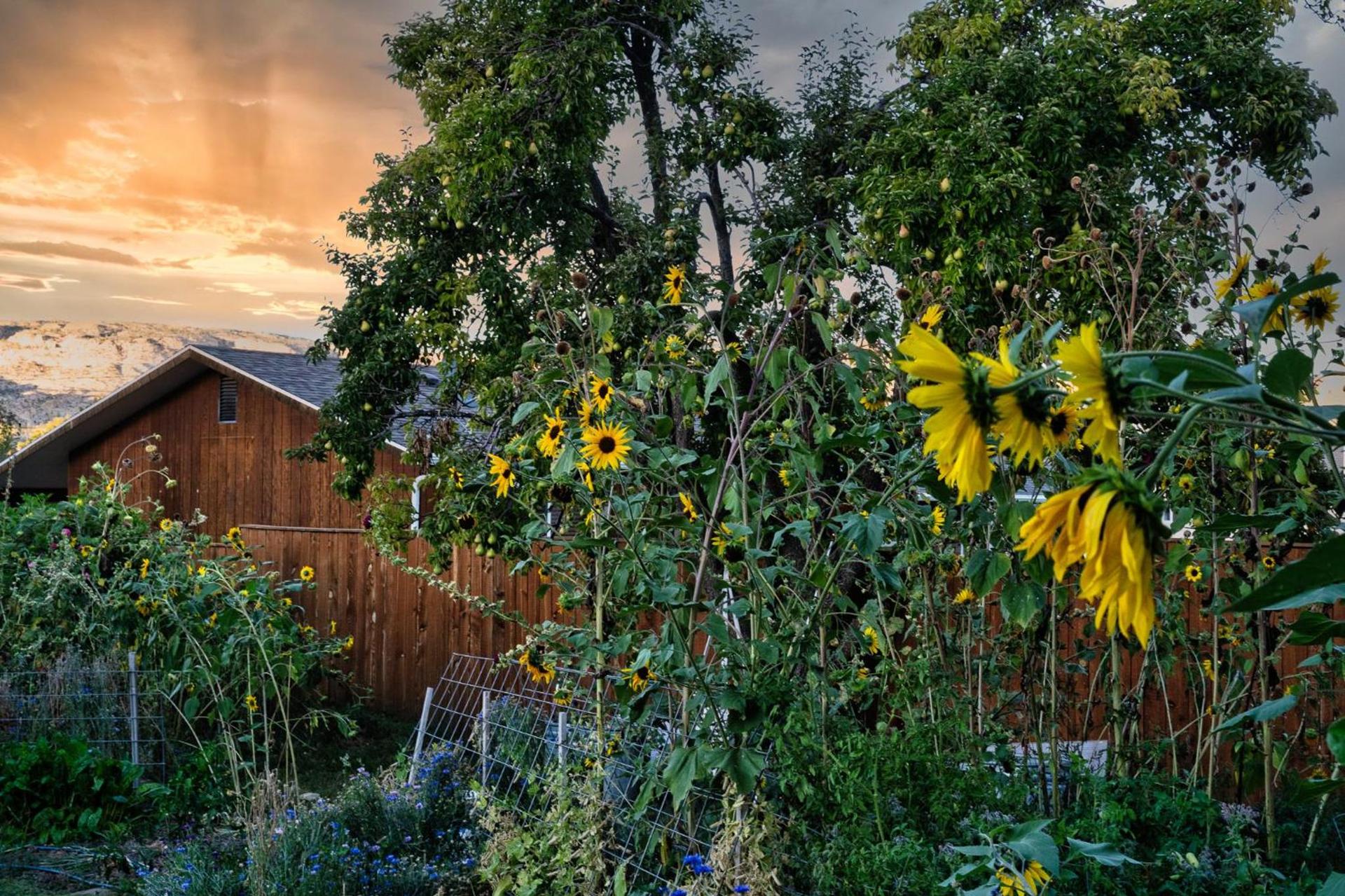 The Loubird Inn photo 79