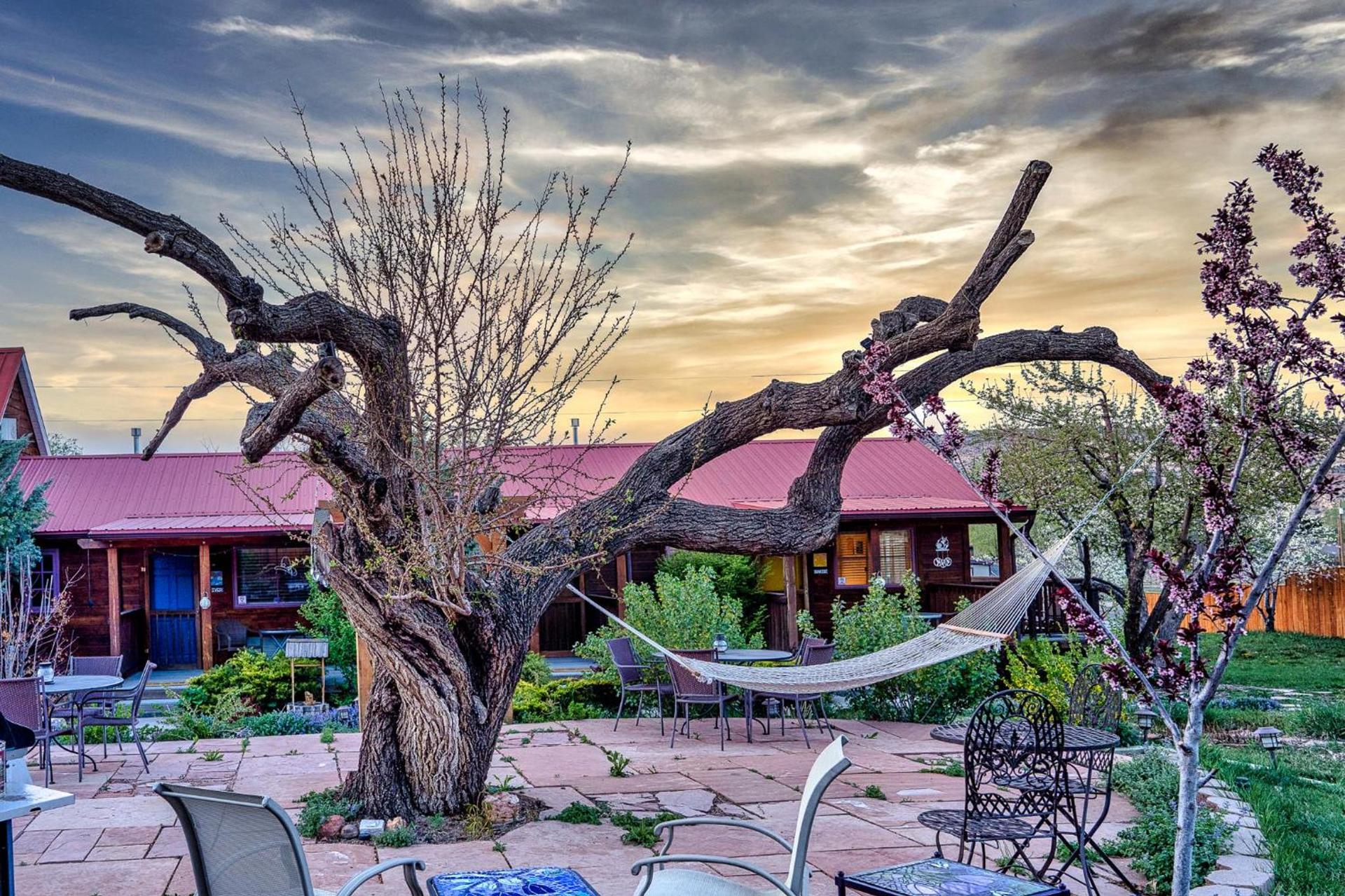 The Loubird Inn photo 87